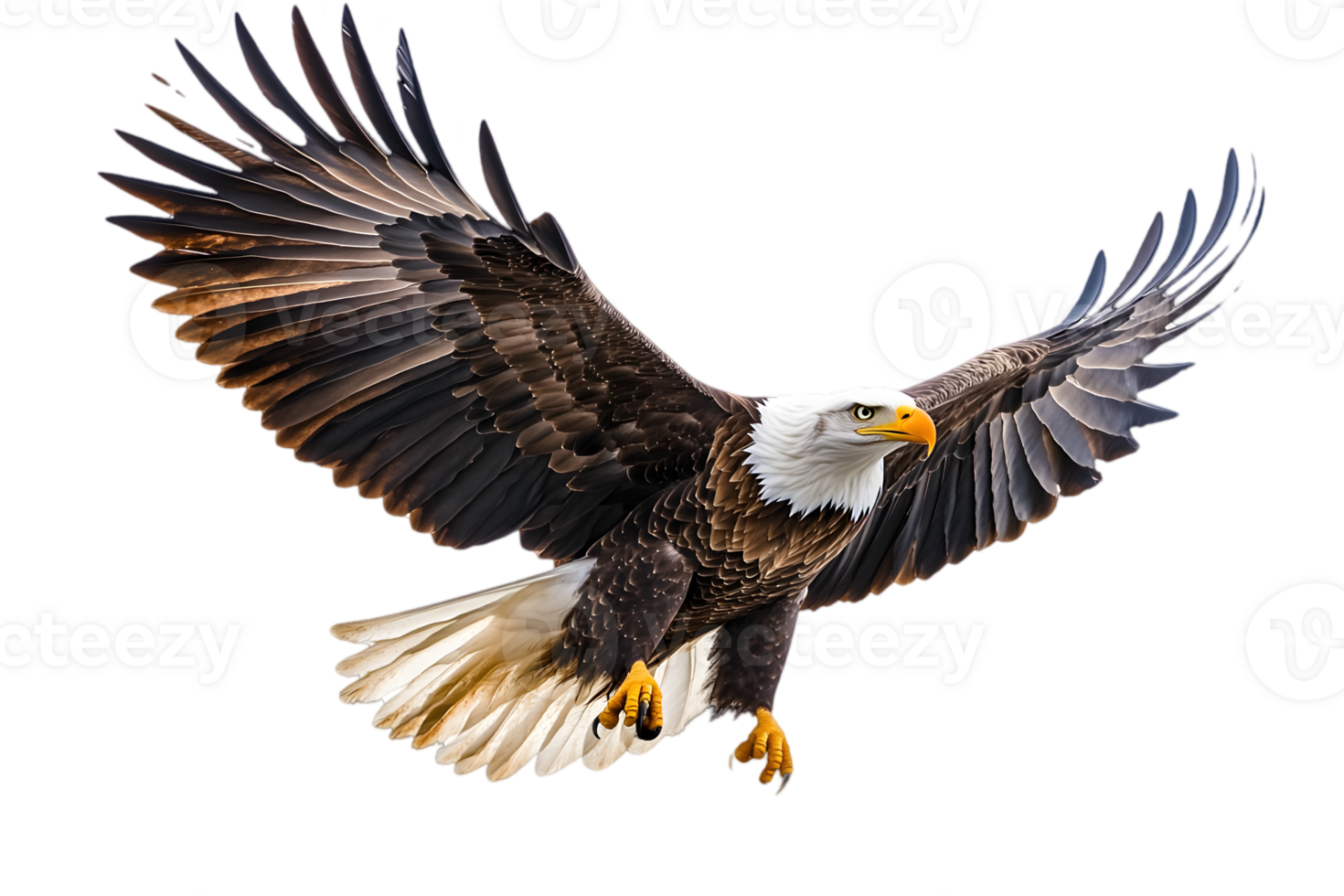 Majestic Eagle in Flight with Fully Spread Wings Against a Transparent Background png