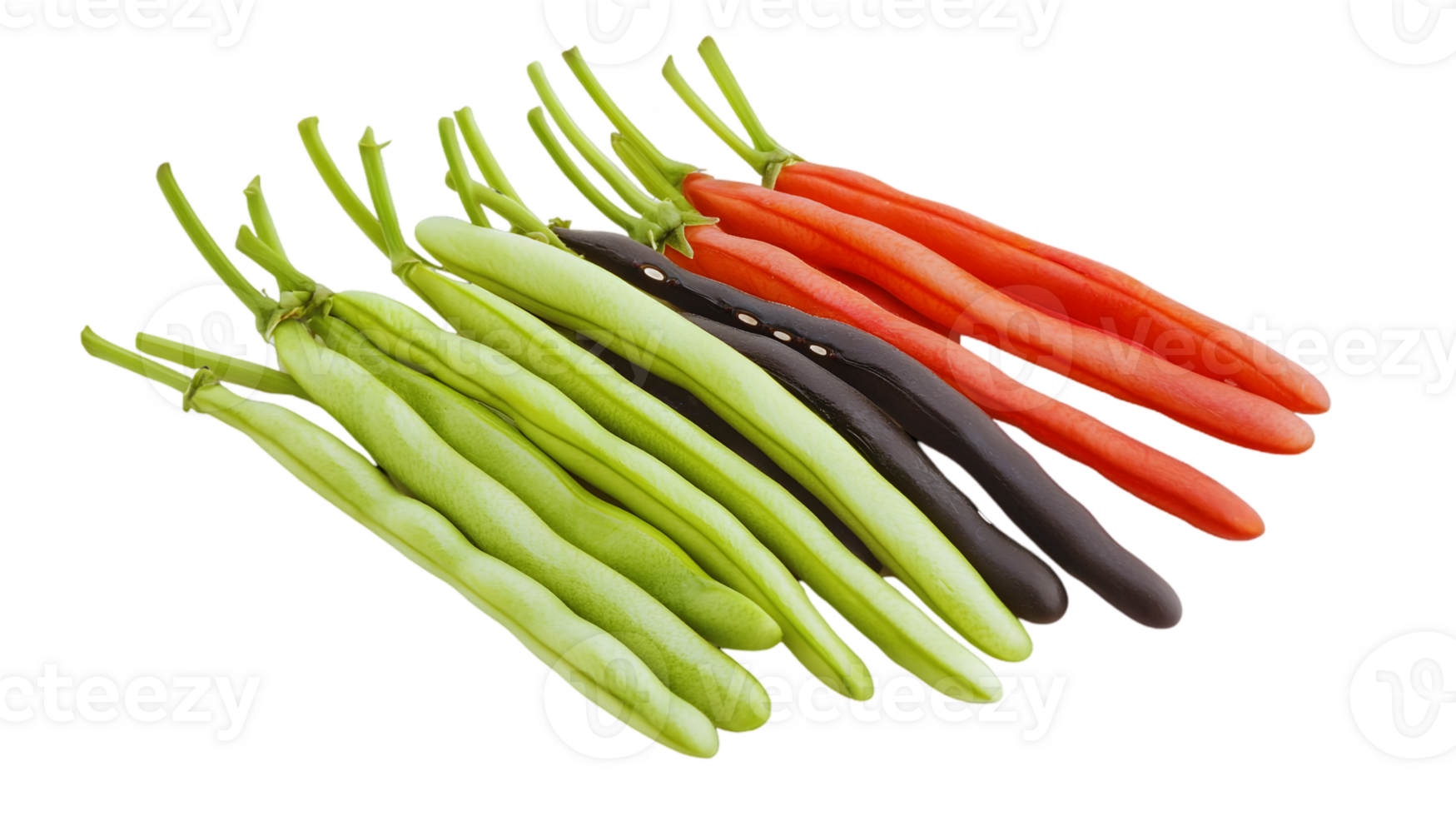 Assorted Colorful Beans Displayed png