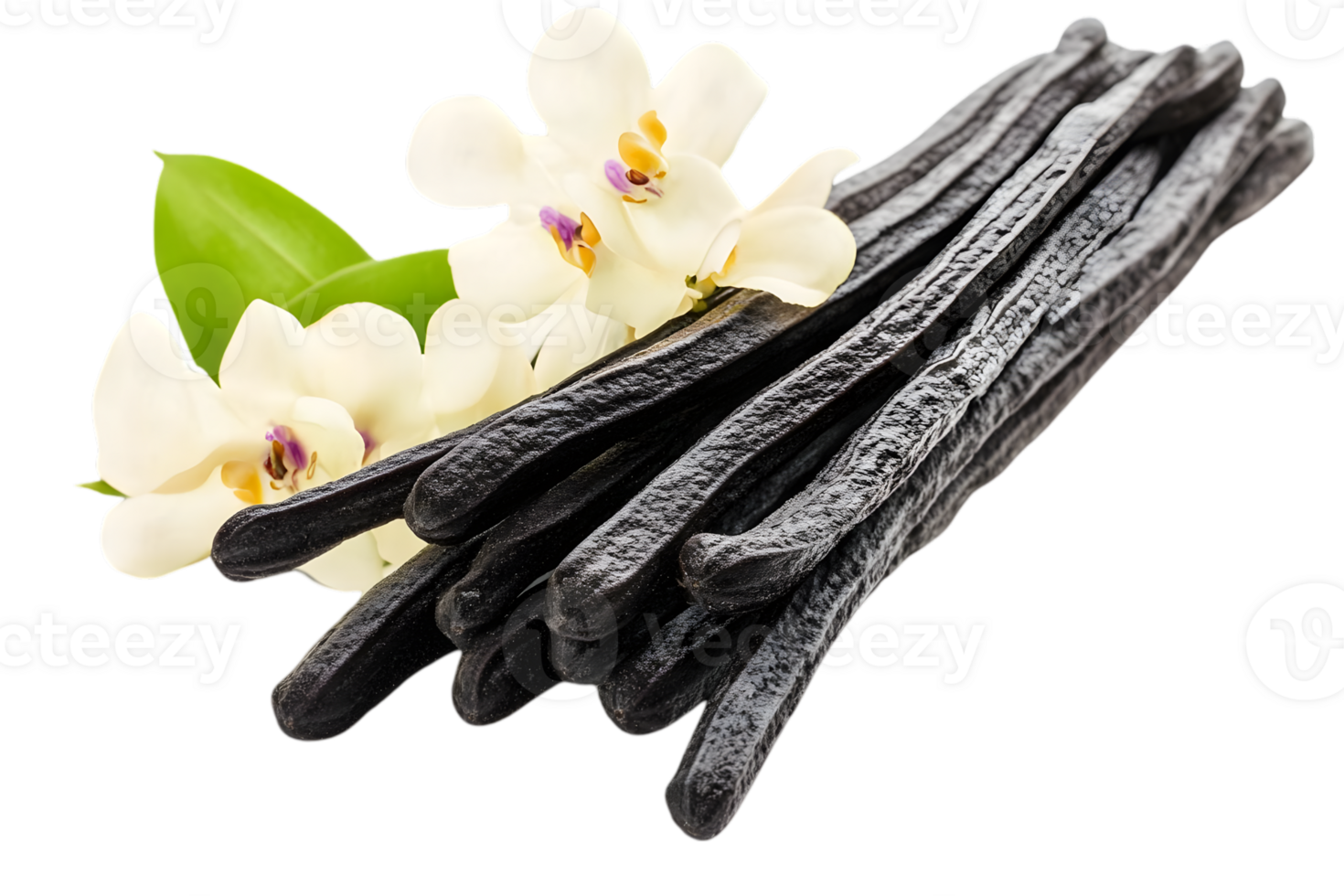 Black Vanilla Beans with White Orchids png