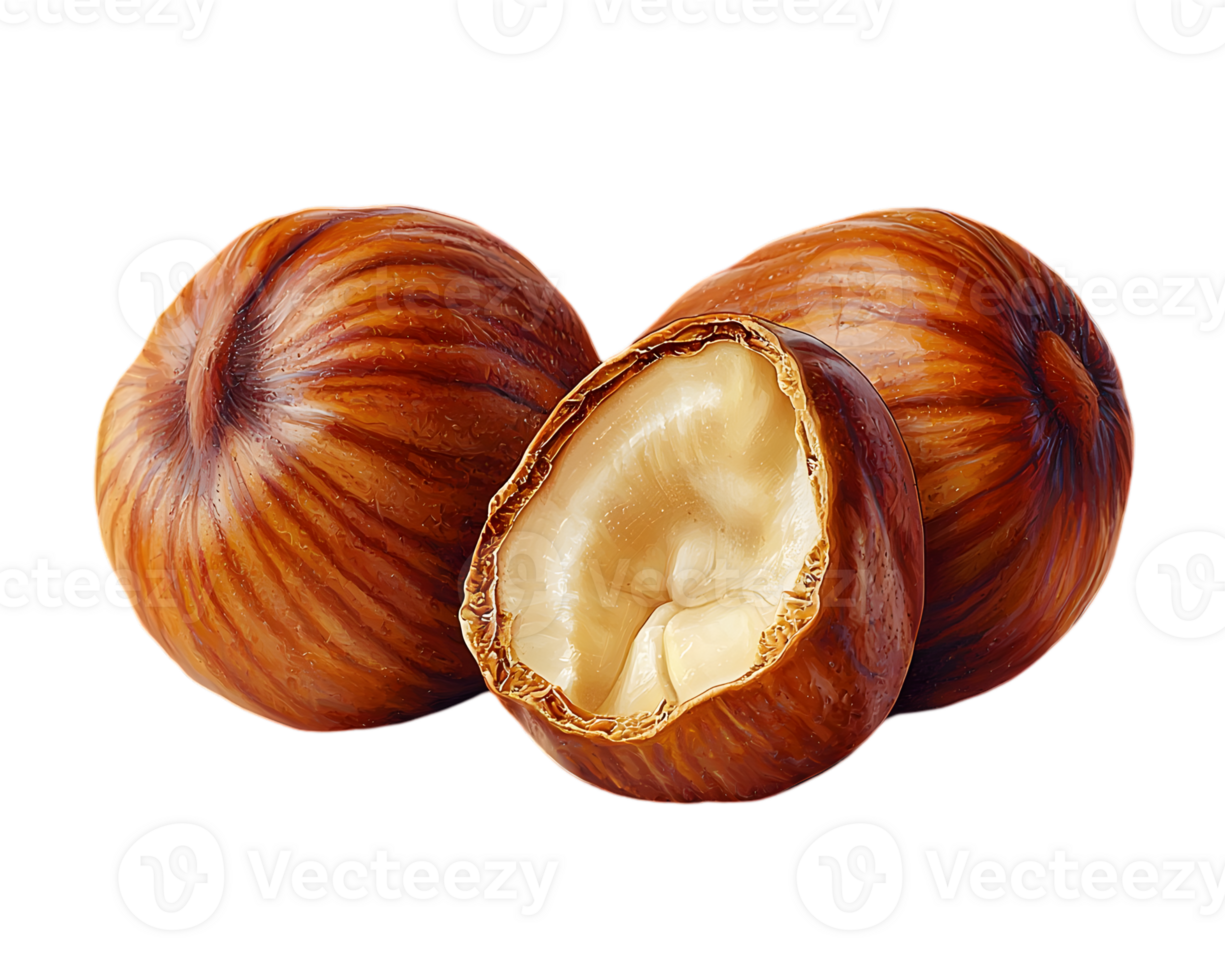 Close Up Hazelnuts With Transparent Background png