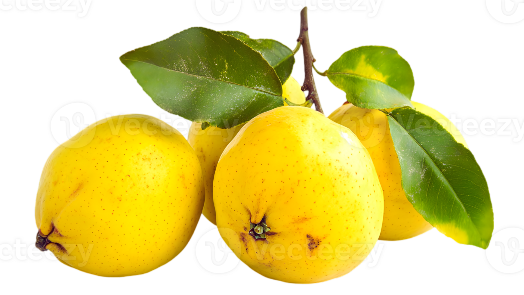 Cluster Of Yellow Apples With Leaves png