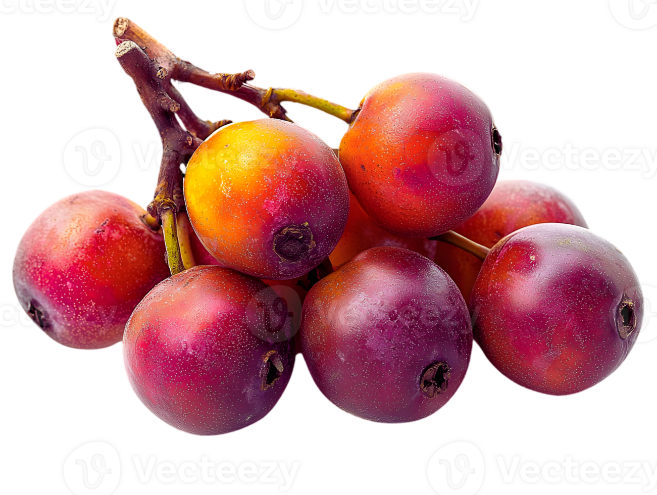 Cluster Of Red And Orange Berries On Branch png