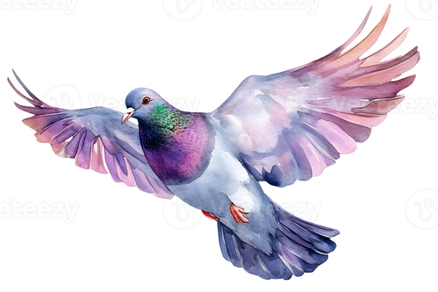 Colorful Watercolor Pigeon In Flight transparent png