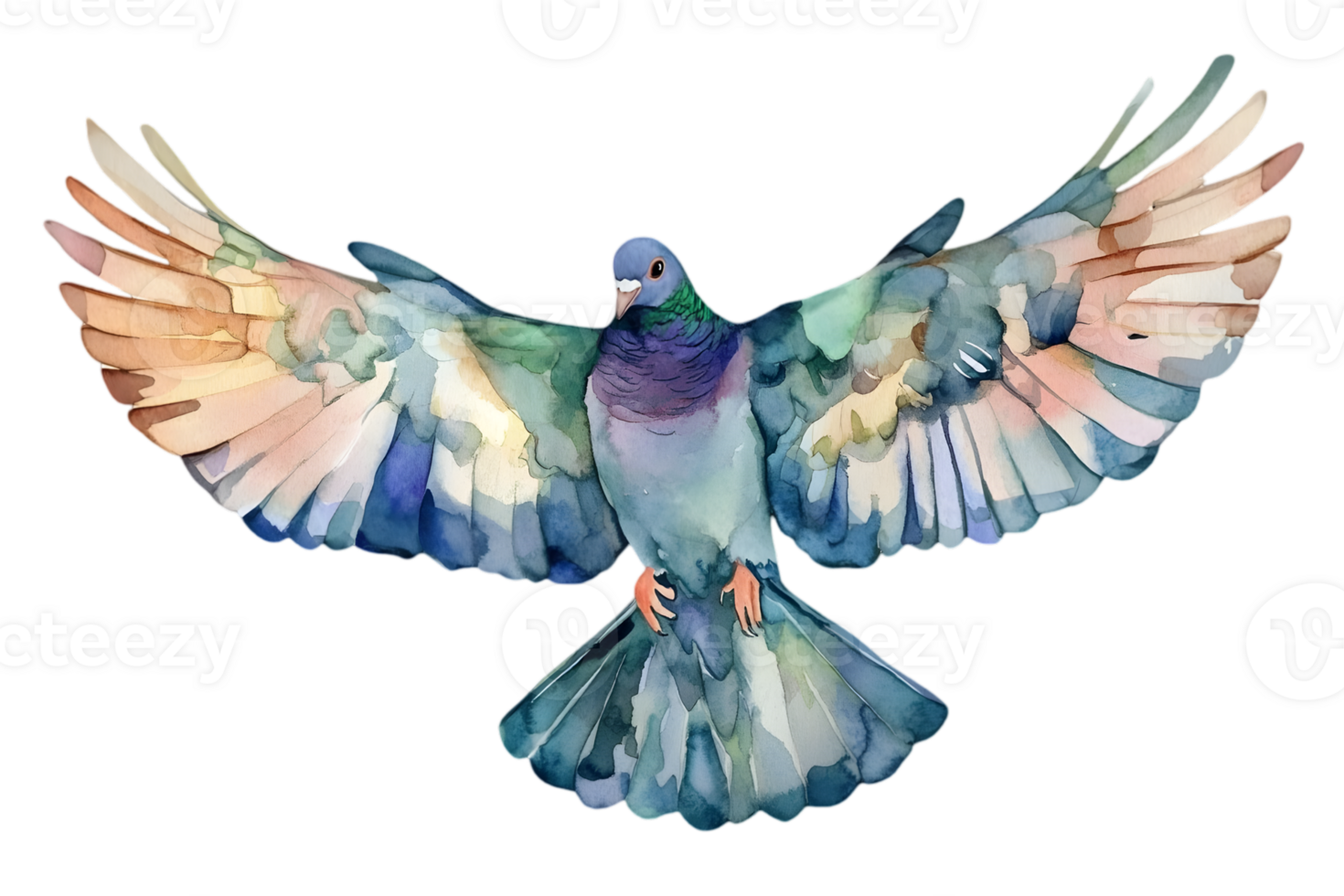Colorful Watercolor Flight Pigeon in Transparent png