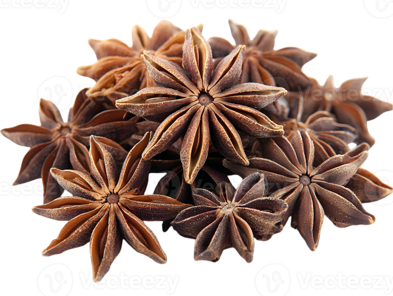 Dried Star Anise Cluster On Black Background png