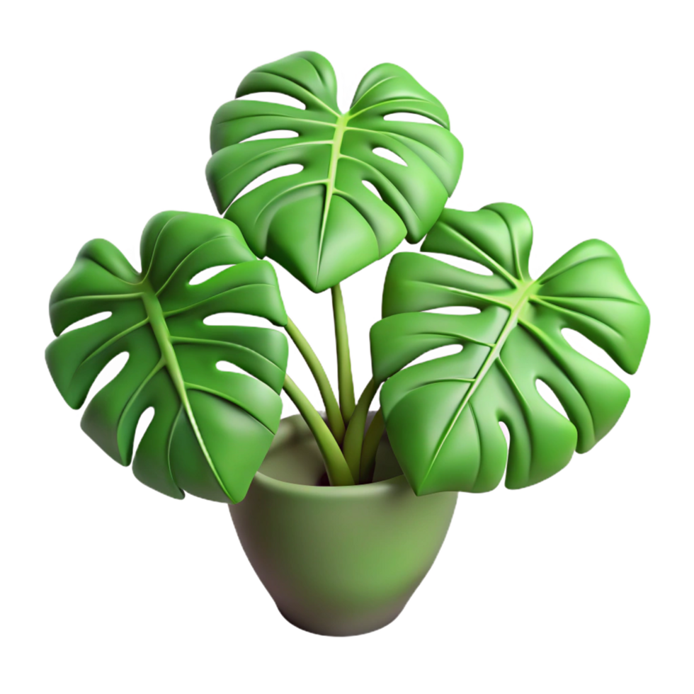 Stunning 3D Render of a Monstera Deliciosa Plant in a Pot png