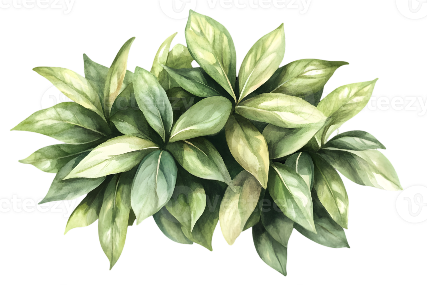 Group Of Watercolor Painted Greenery Leaves png
