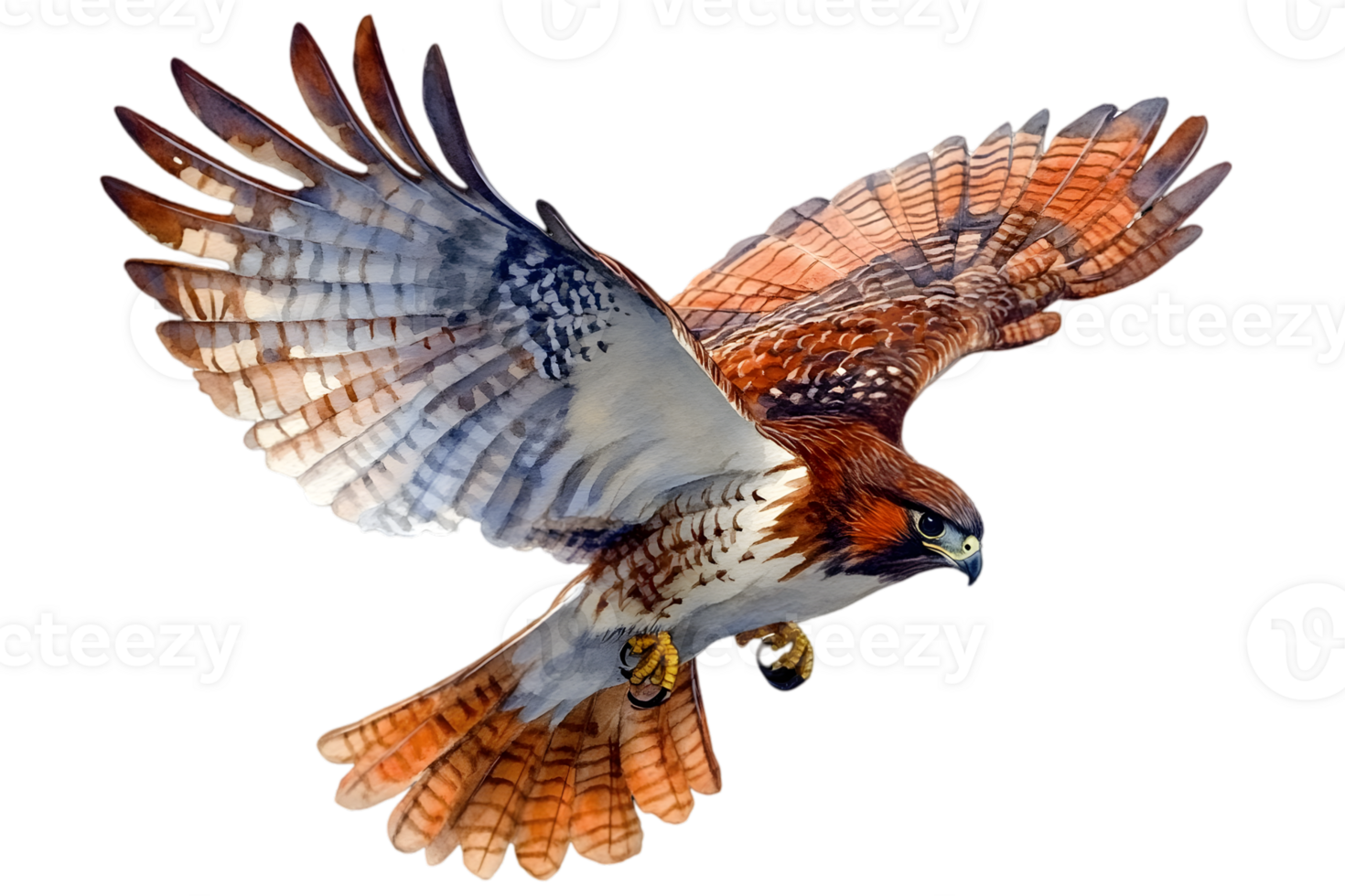 Hawk In Flight Against Black Background png