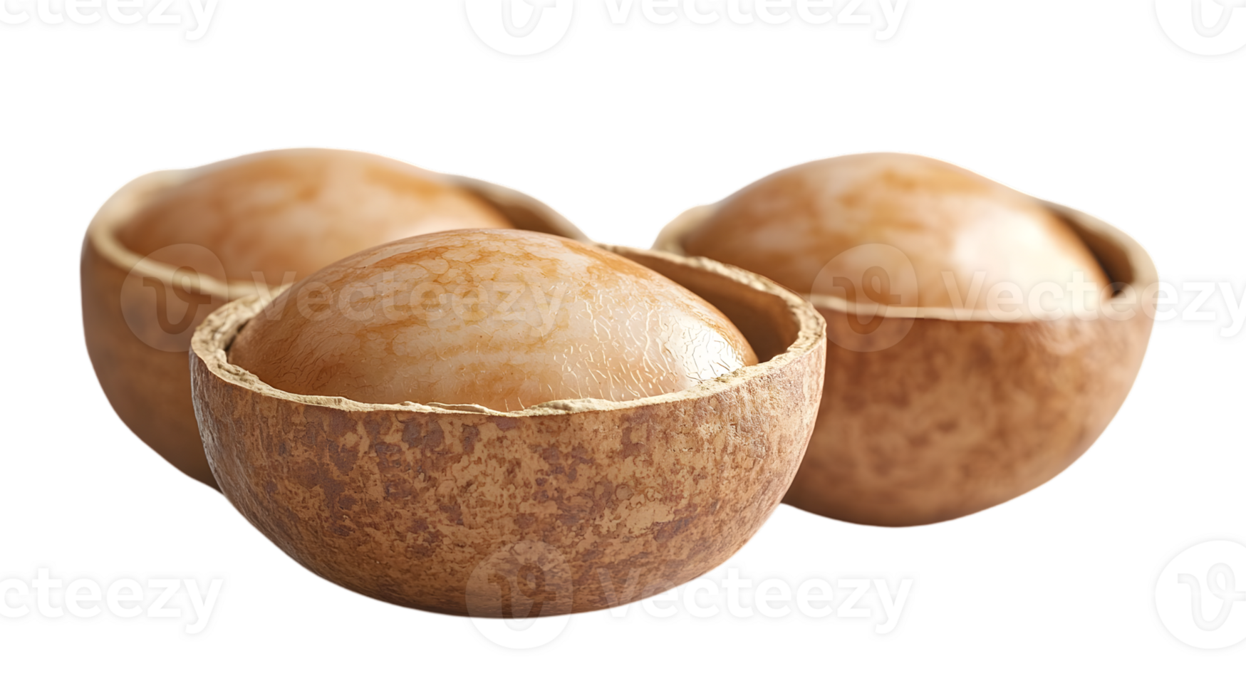 Macadamia Nuts Closeup In Shells png