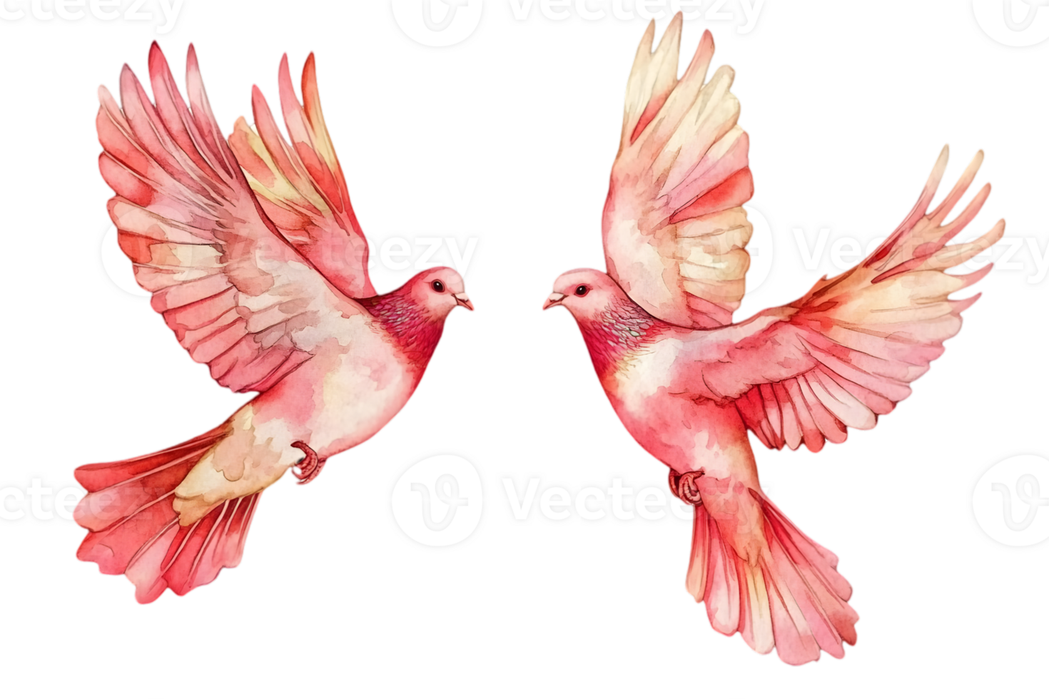Pair Of Pink Doves In Flight Watercolor Illustration png