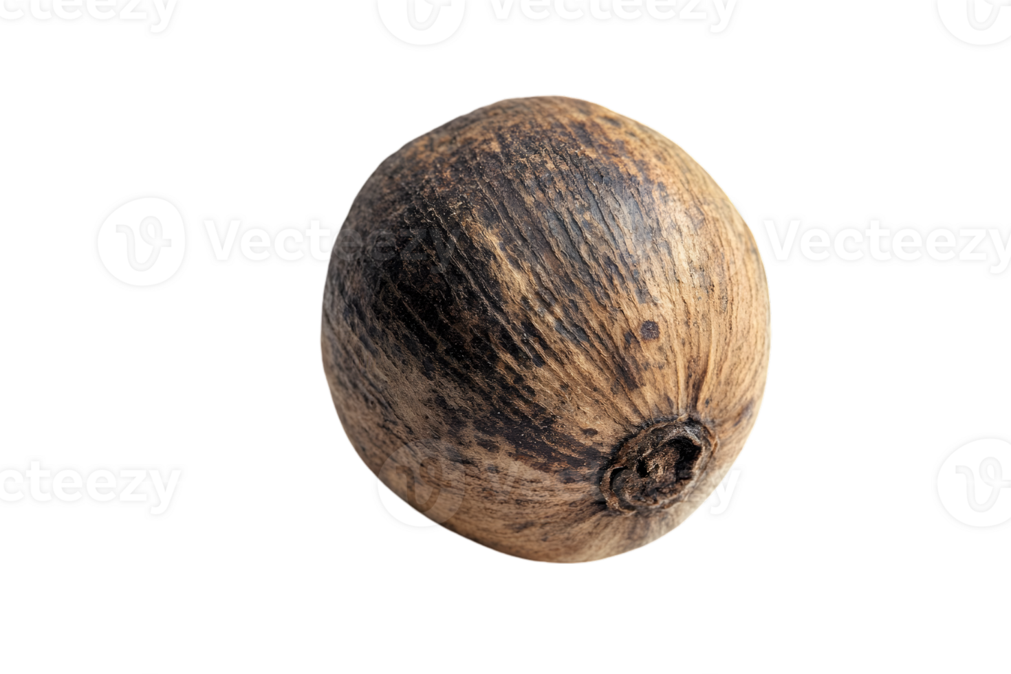Single Brown Seed Isolated On Black Background png
