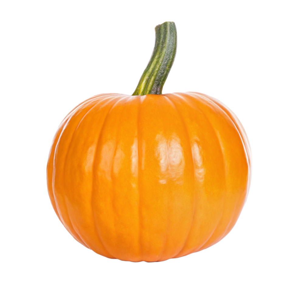 A Single Small Orange Pumpkin on a Black Background png