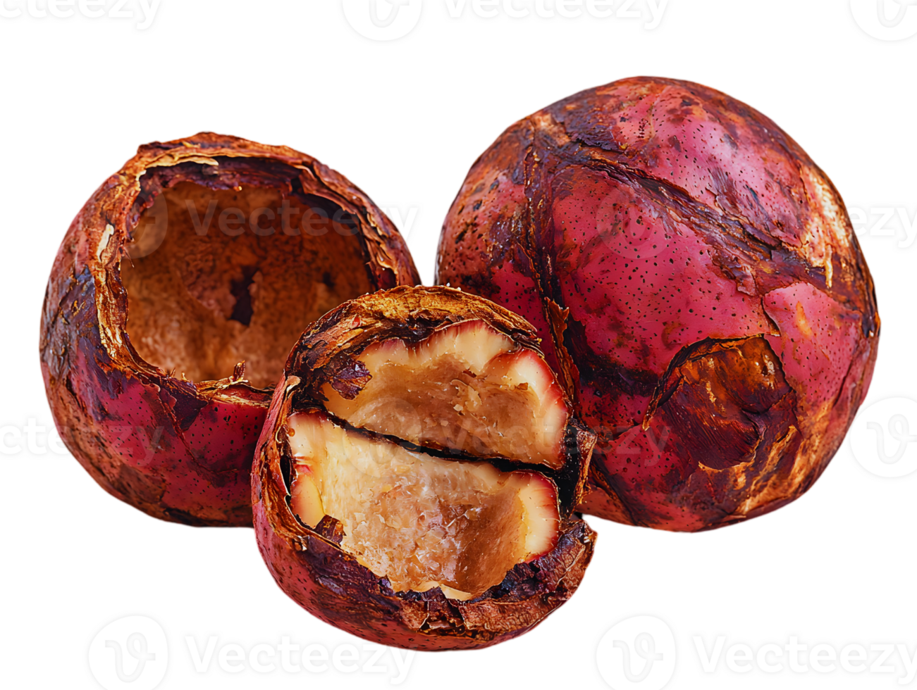 Roasted Colorful Fruits Isolated png