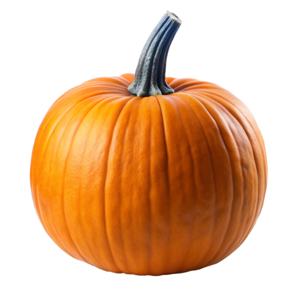 A Single Perfect Orange Pumpkin on Black Background. Autumn Harvest Vegetable png