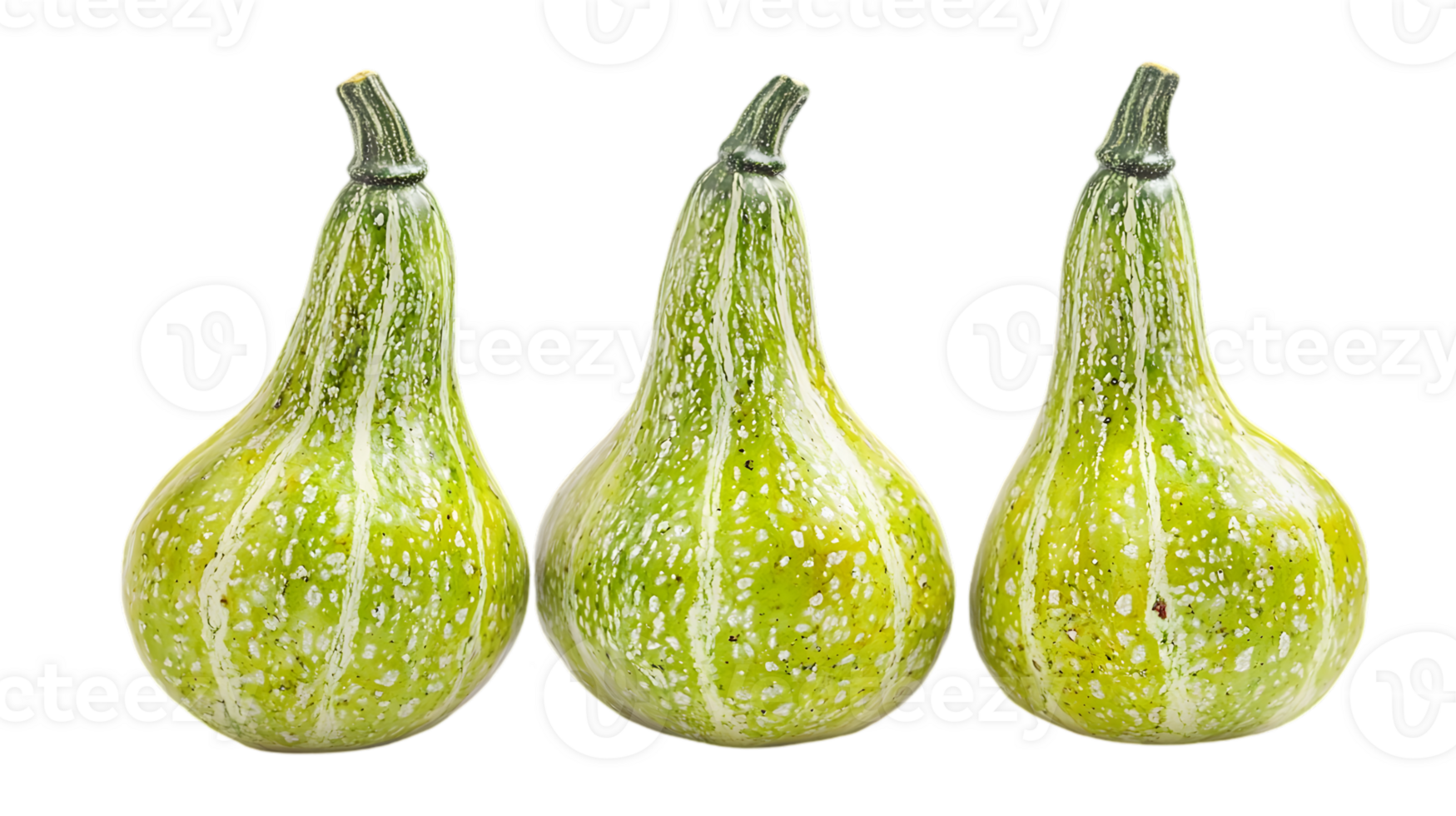 Three Decorative Green Gourds png
