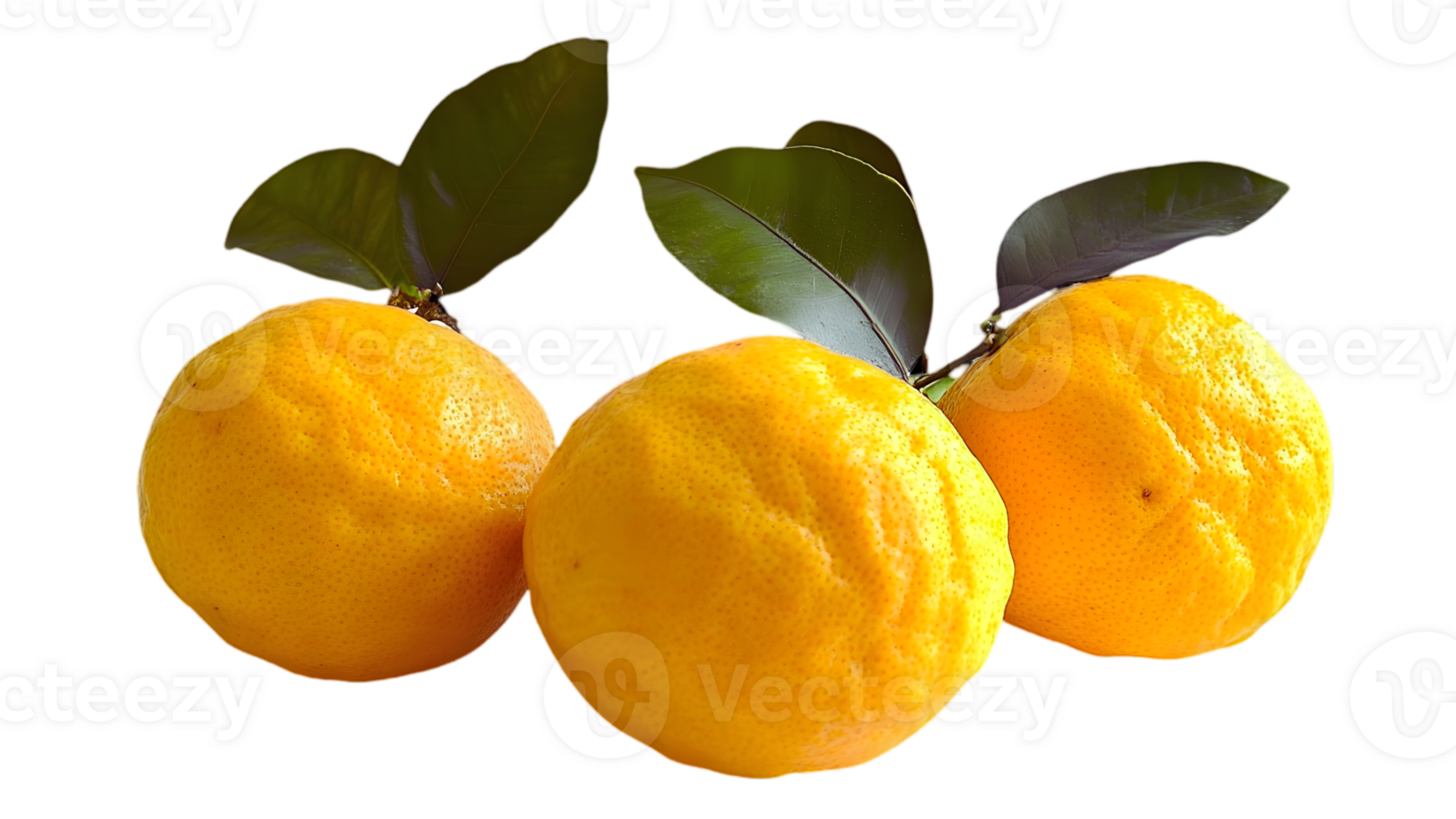 Three Fresh Oranges with Leaves on Black Background png