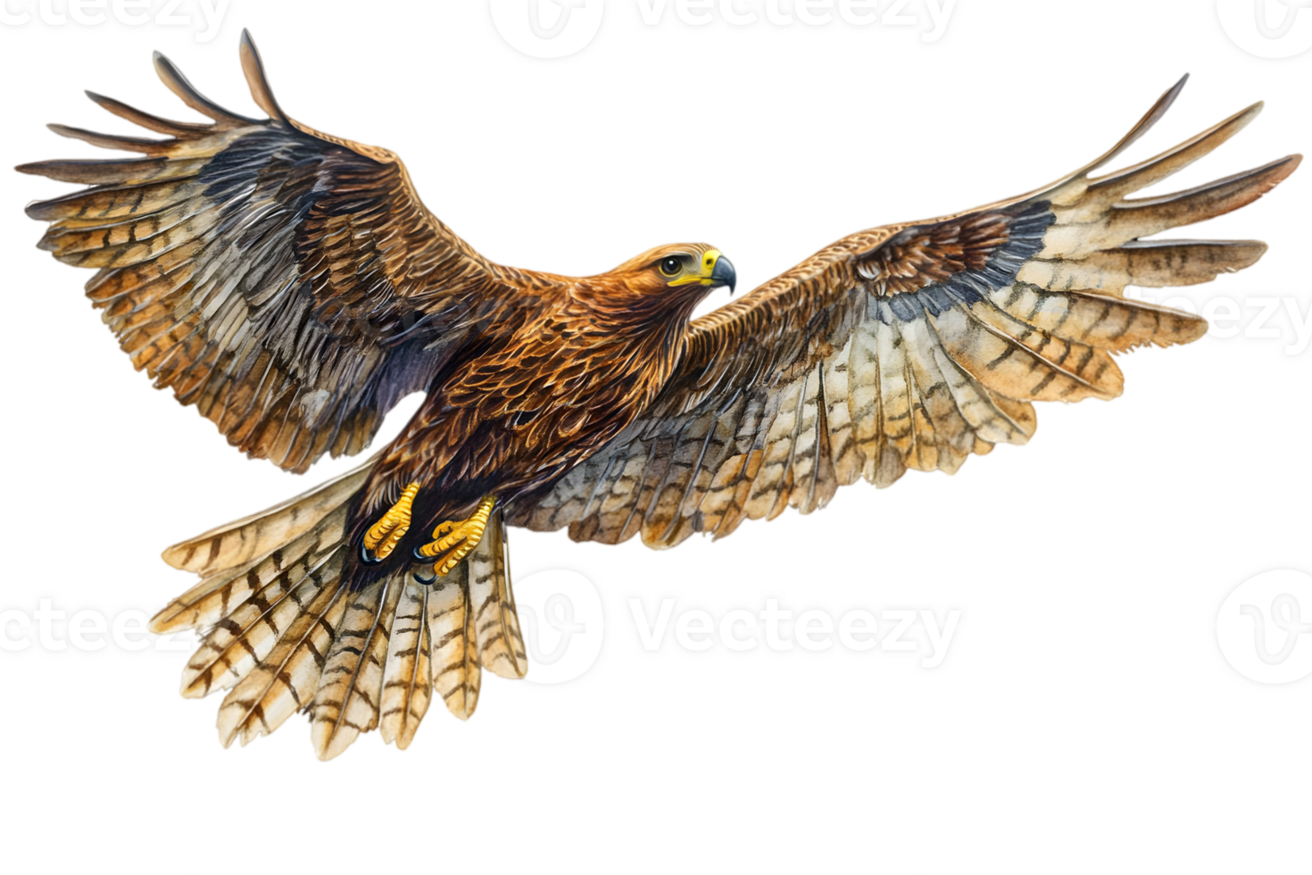 Soaring Brown Eagle In Flight png