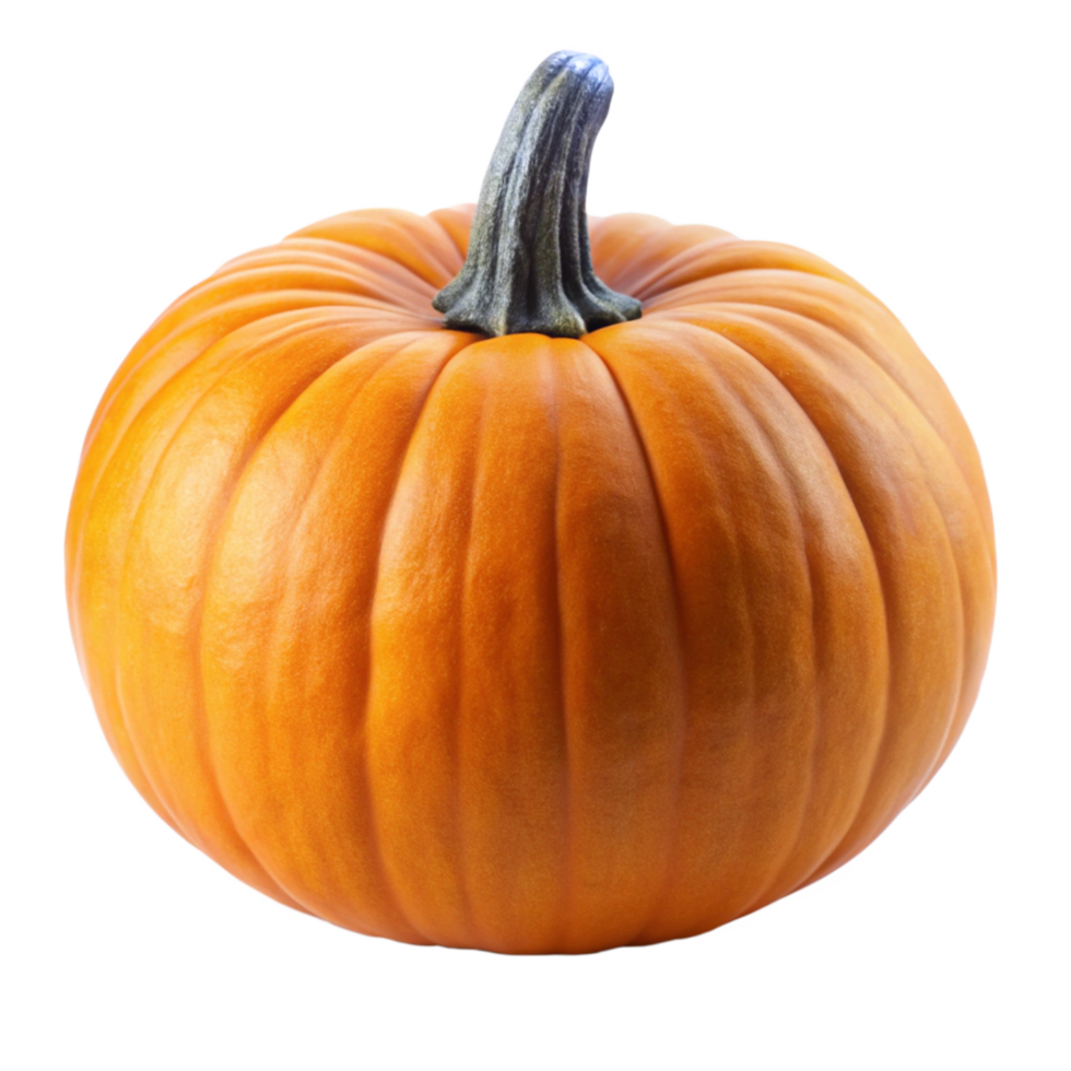 A Perfectly Formed Orange Pumpkin on a Black Background png