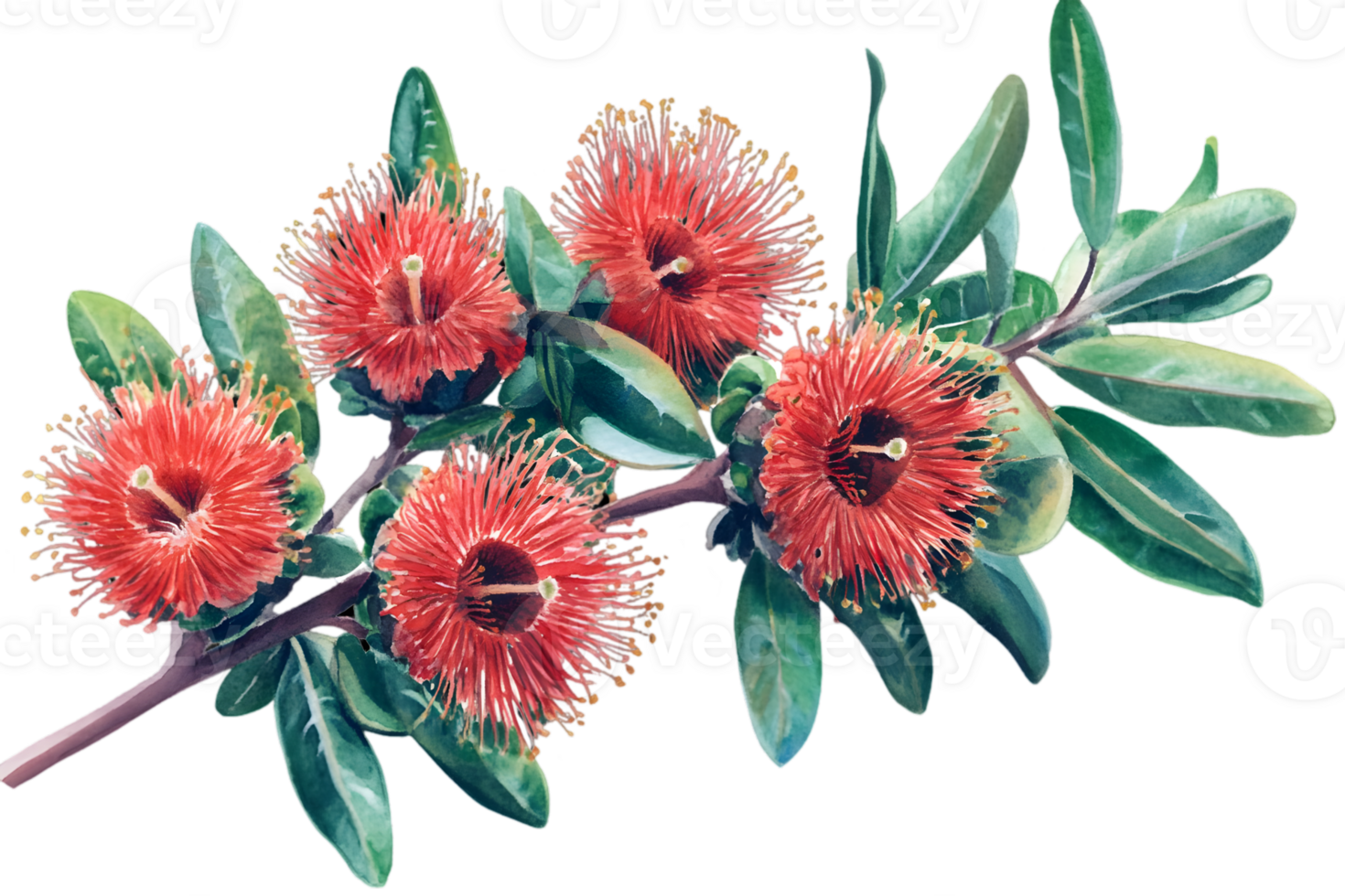 Vibrant Red Flowers On Branch with Transparent Background png