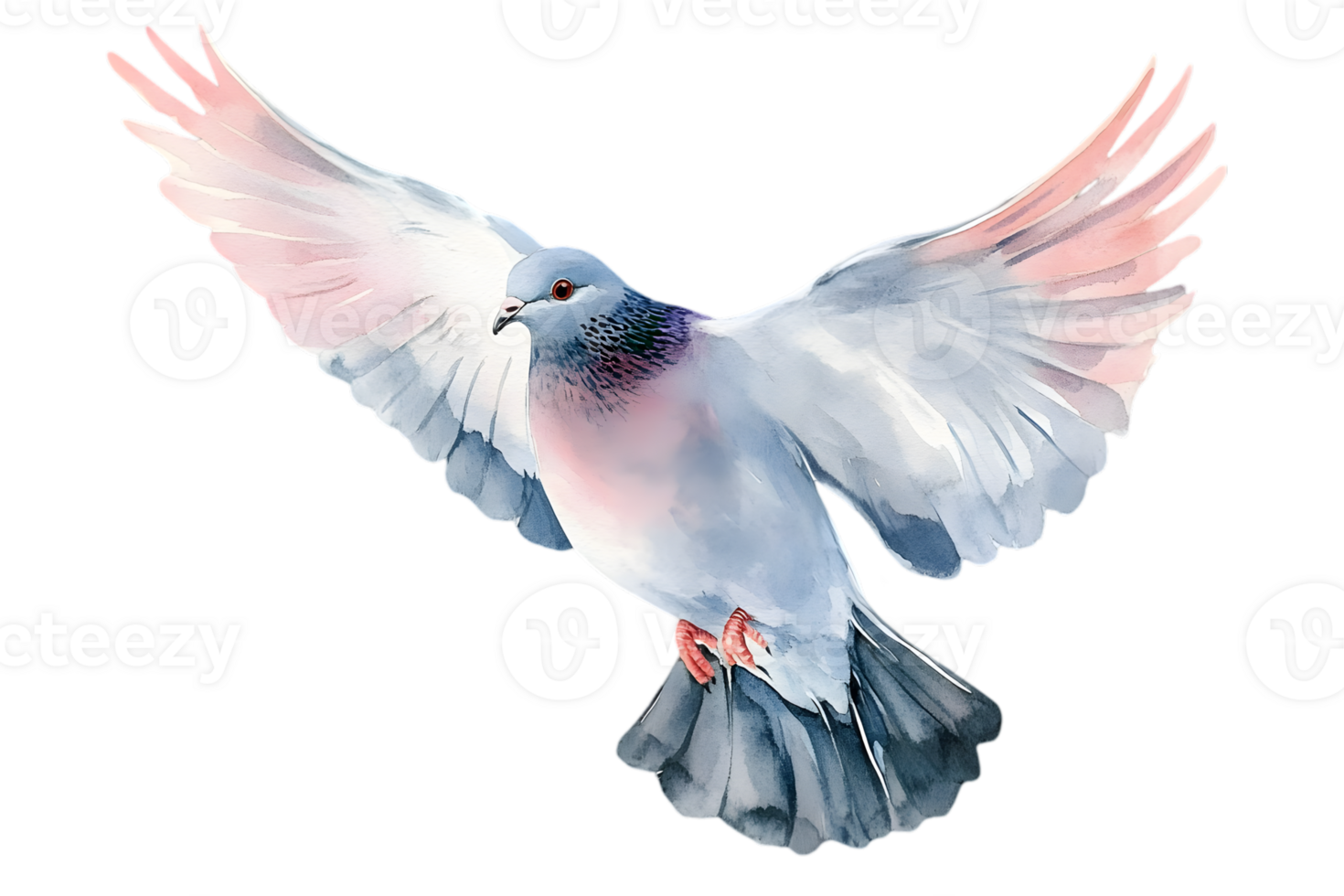 Watercolor Illustration Of A Flying Dove with Transparent background png