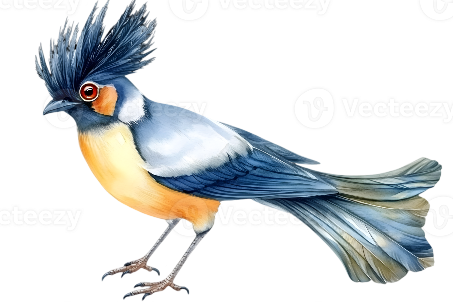 Watercolor Illustration Of A Colorful Bird With Crest png