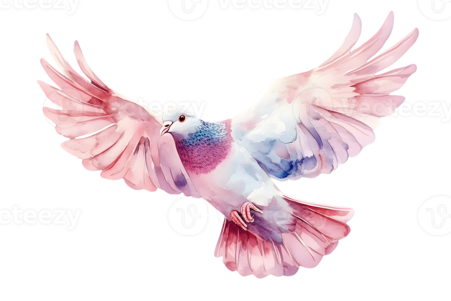 Watercolor Illustration Of A Flying Dove with isolated Transparent background png