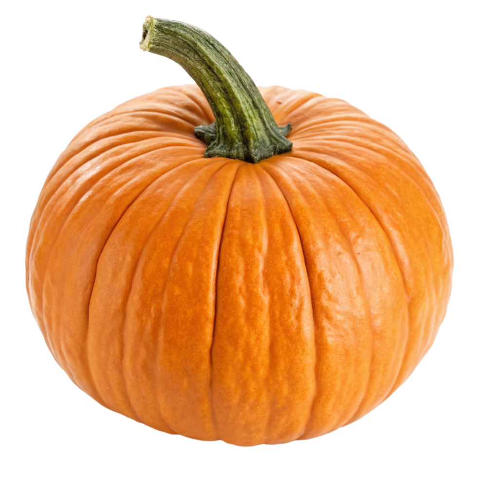 A perfectly ripe orange pumpkin with a green stem, ready for carving or pie png