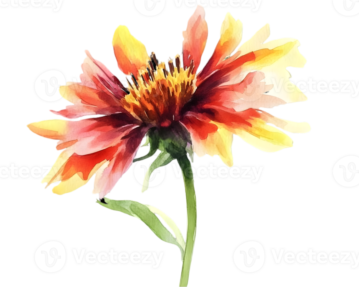 Watercolor Painting Of A Single Vivid Flower png