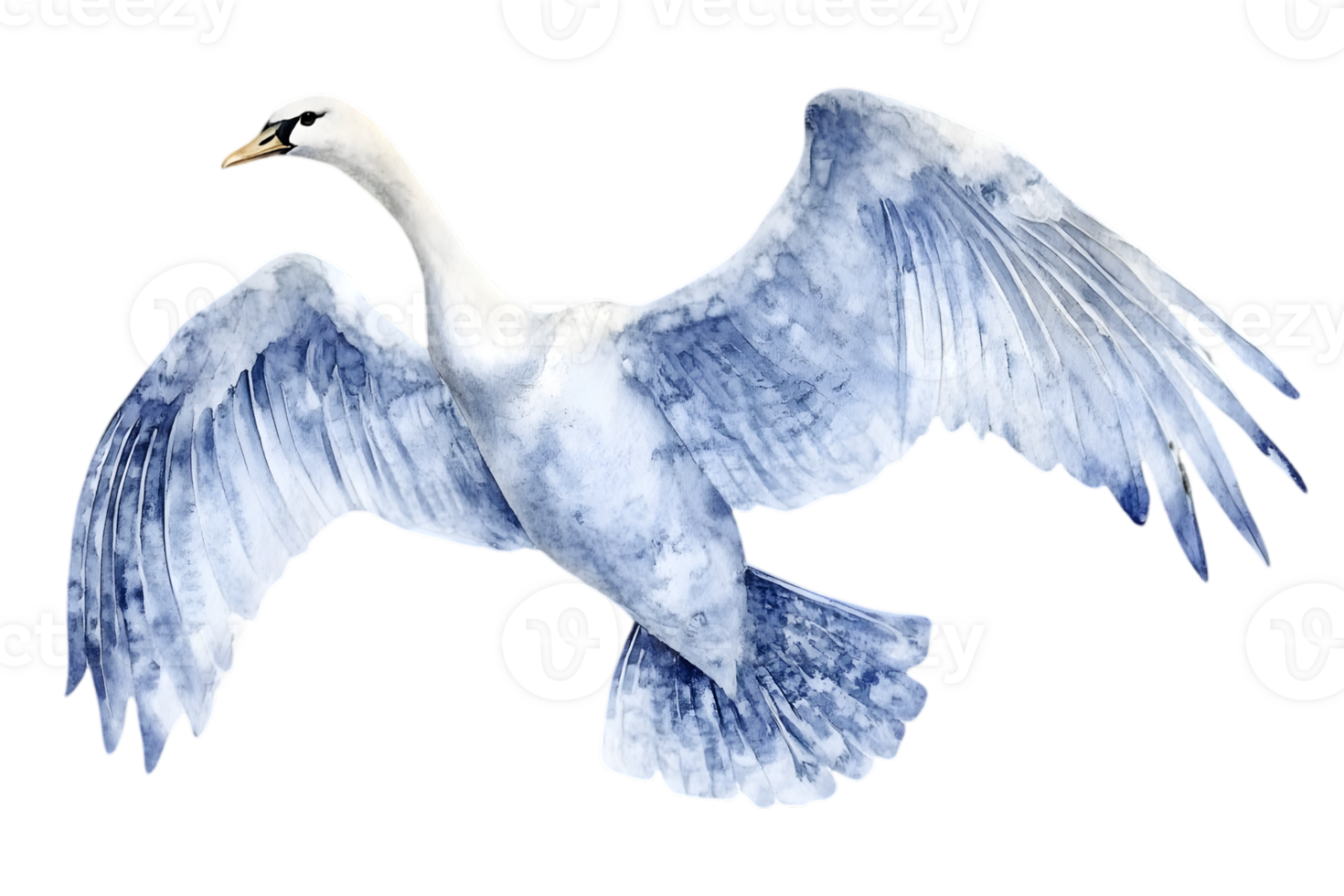 Watercolor Swan In Flight png