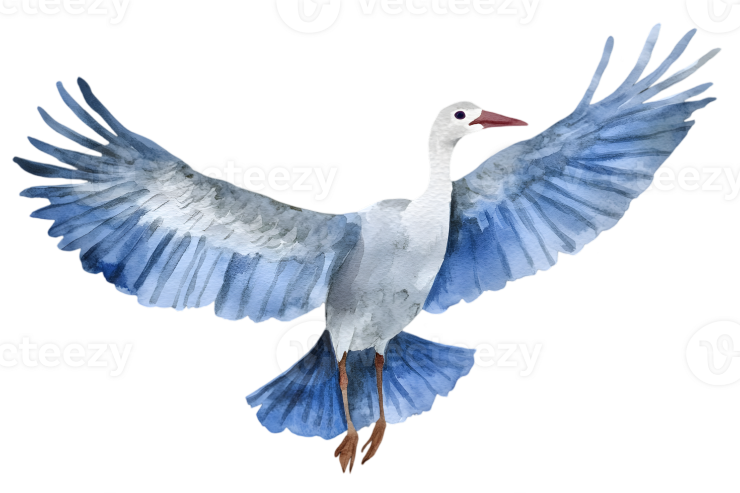 Watercolor Illustration Of Flying Crane png