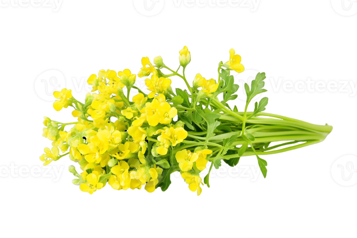 Yellow Flower Bouquet On Black Background png
