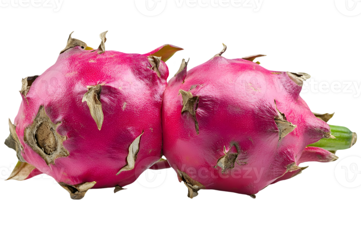 Pair of Dragon Fruit in Vibrant Pink Isolated on Transparent Background Macro Still Life Cut Out Studio Shot png