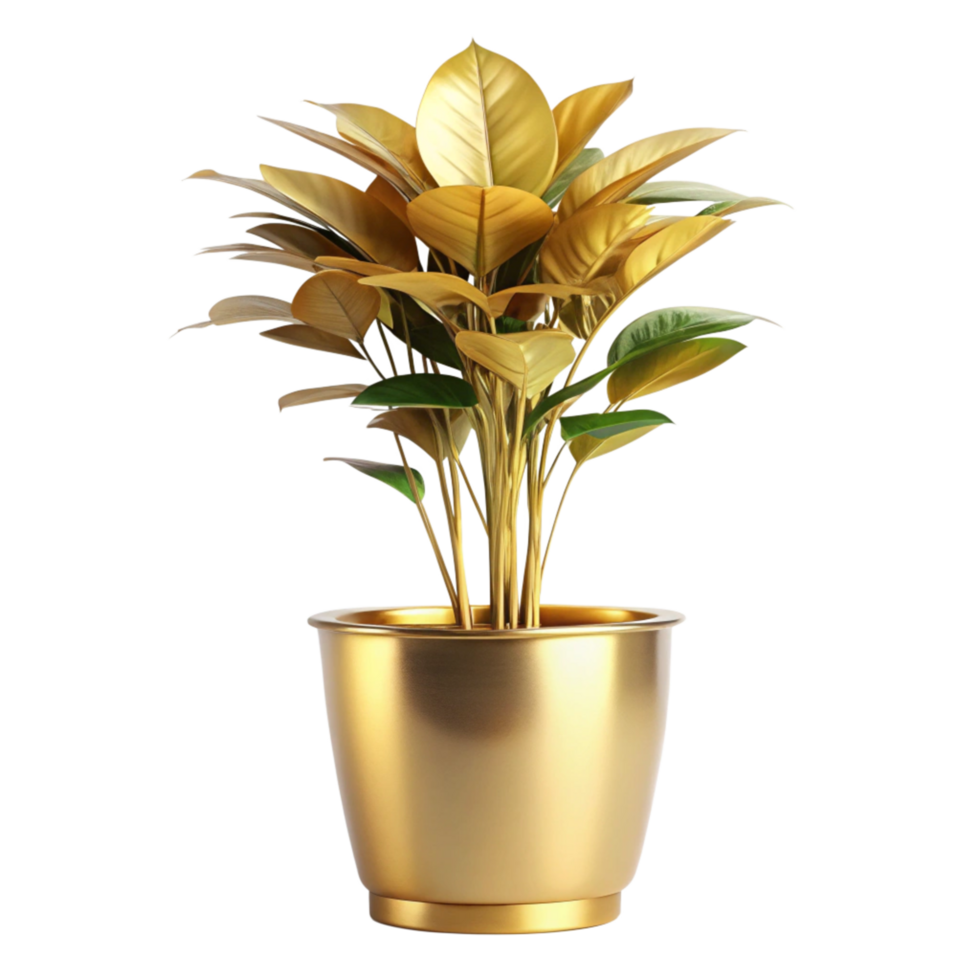 A Stunning Golden Potted Plant with Lush Golden and Green Leaves png