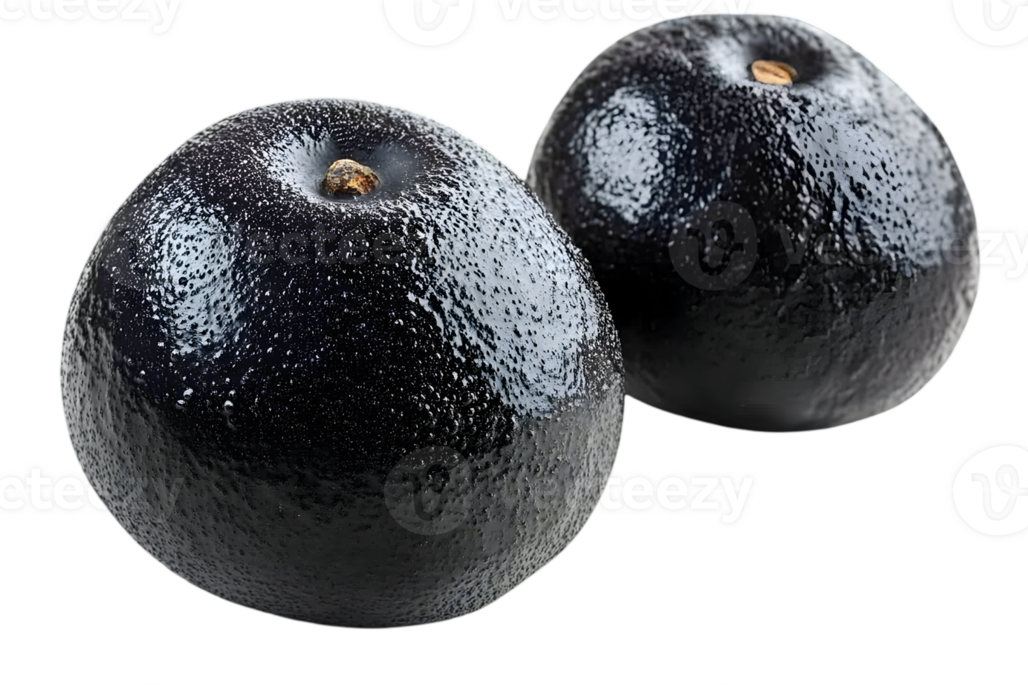 Pair of Glossy Dark Plums on Transparent Background Macro Studio Shot png