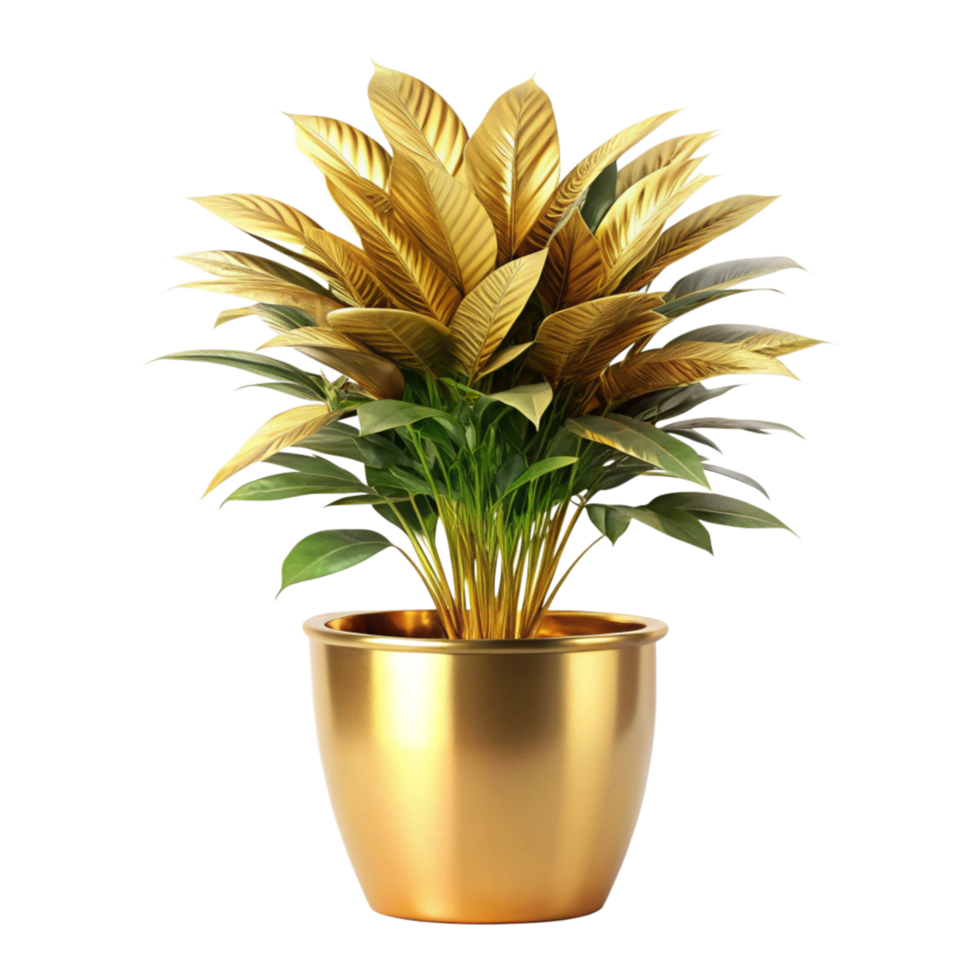 Golden Plant in Elegant Gold Pot A Luxurious Houseplant Display png