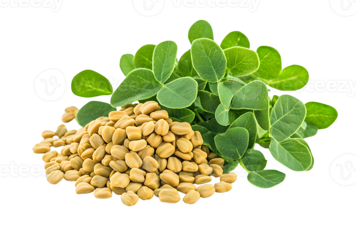 Pile of Golden Fenugreek Seeds and Green Leaves Herb Spice Isolated on Transparent Background png