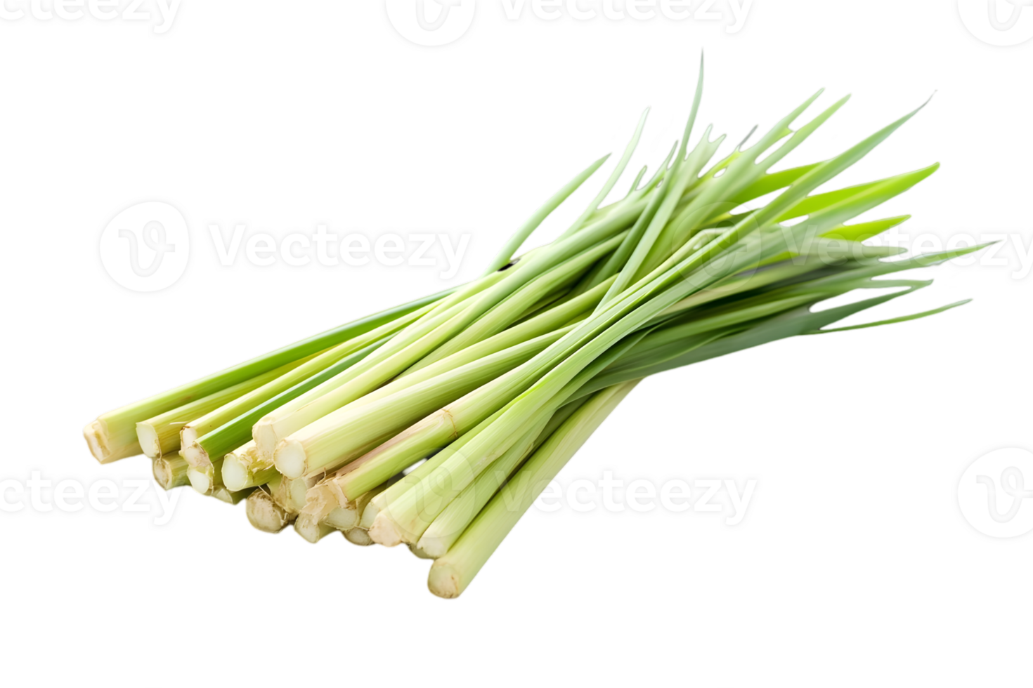 Pile of Fresh Green Lemongrass Stalks on Transparent Background Aromatic Culinary Herb Used in Asian Cuisine png