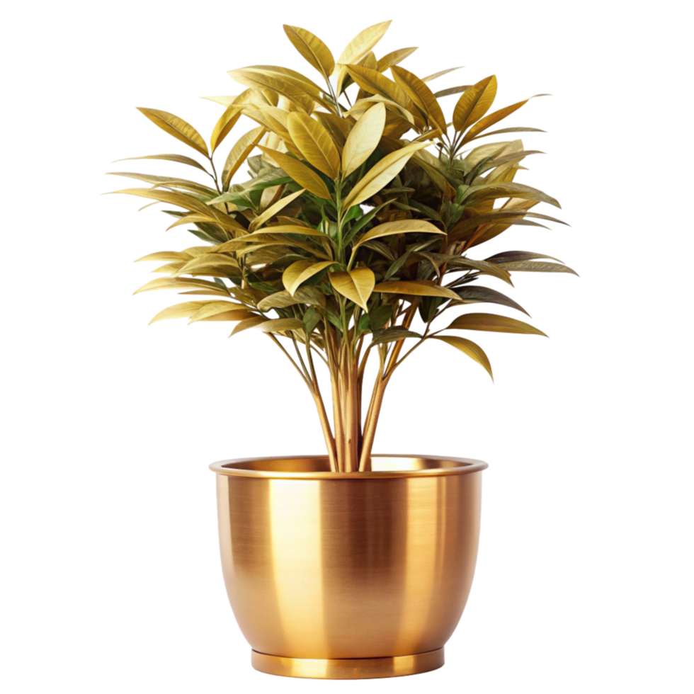 Elegant Golden Plant in a Brass Pot A Stunning Indoor Decor Piece png