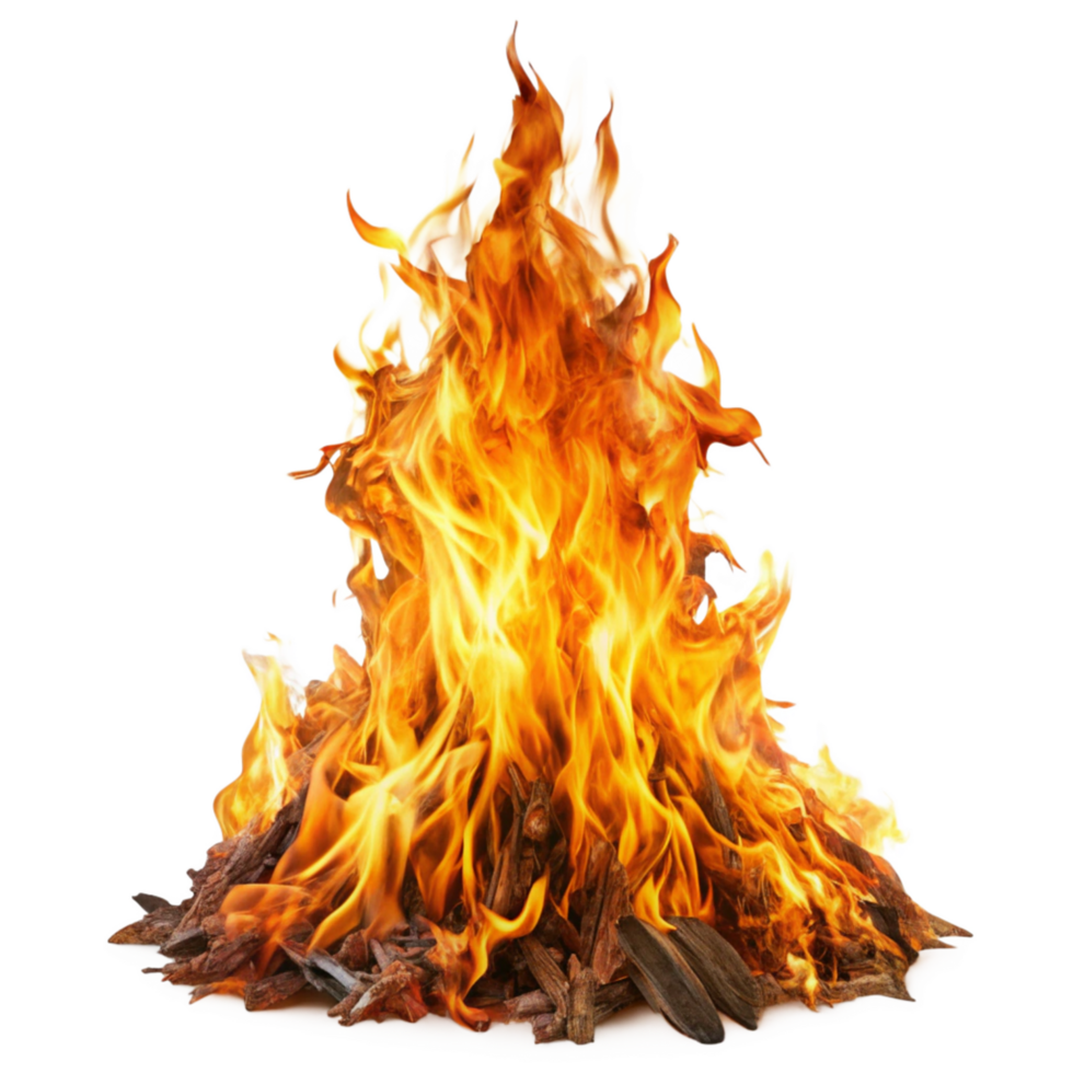 Fiery Bonfire Burning Brightly Against Black Background A Vivid Image of Wood Burning in Flames png