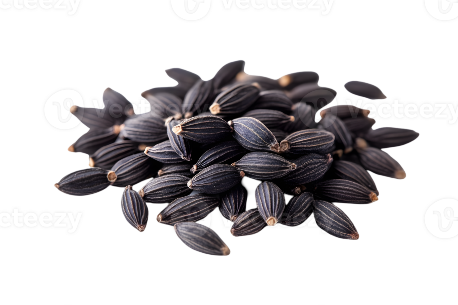 Pile of Small Black Seeds Textured Surface Overhead Studio Shot on Transparent Background png