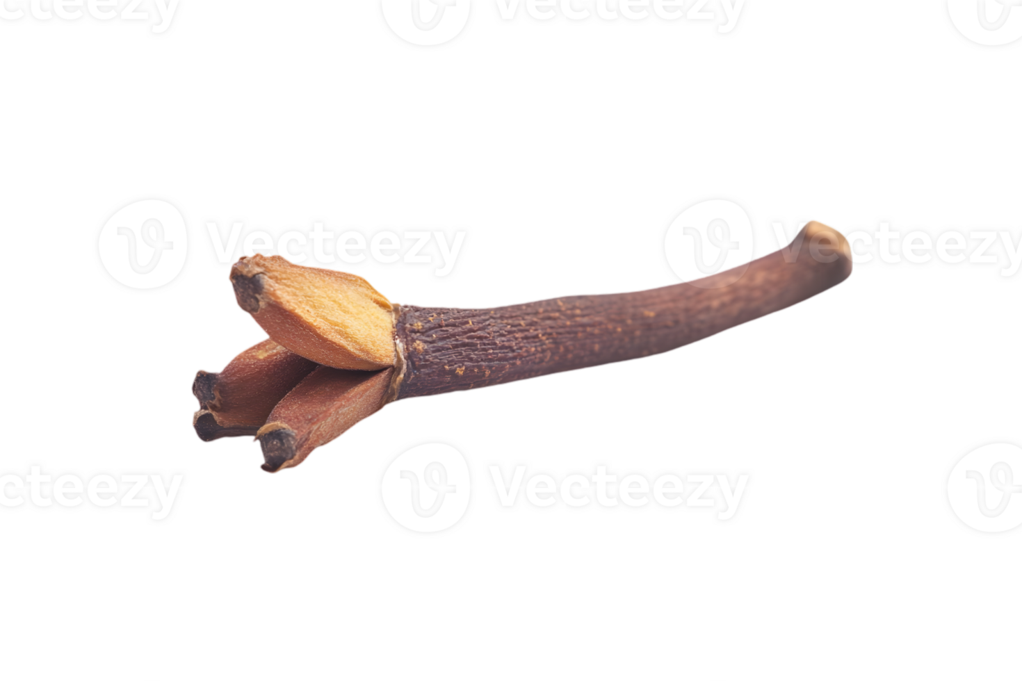 Single Brown Clove Spice Herb Isolated on Transparent Background for Culinary Use png