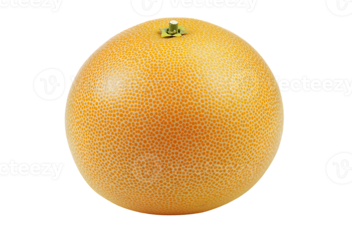 Single Honeydew Melon with Yellow and White Skin on Transparent Background png