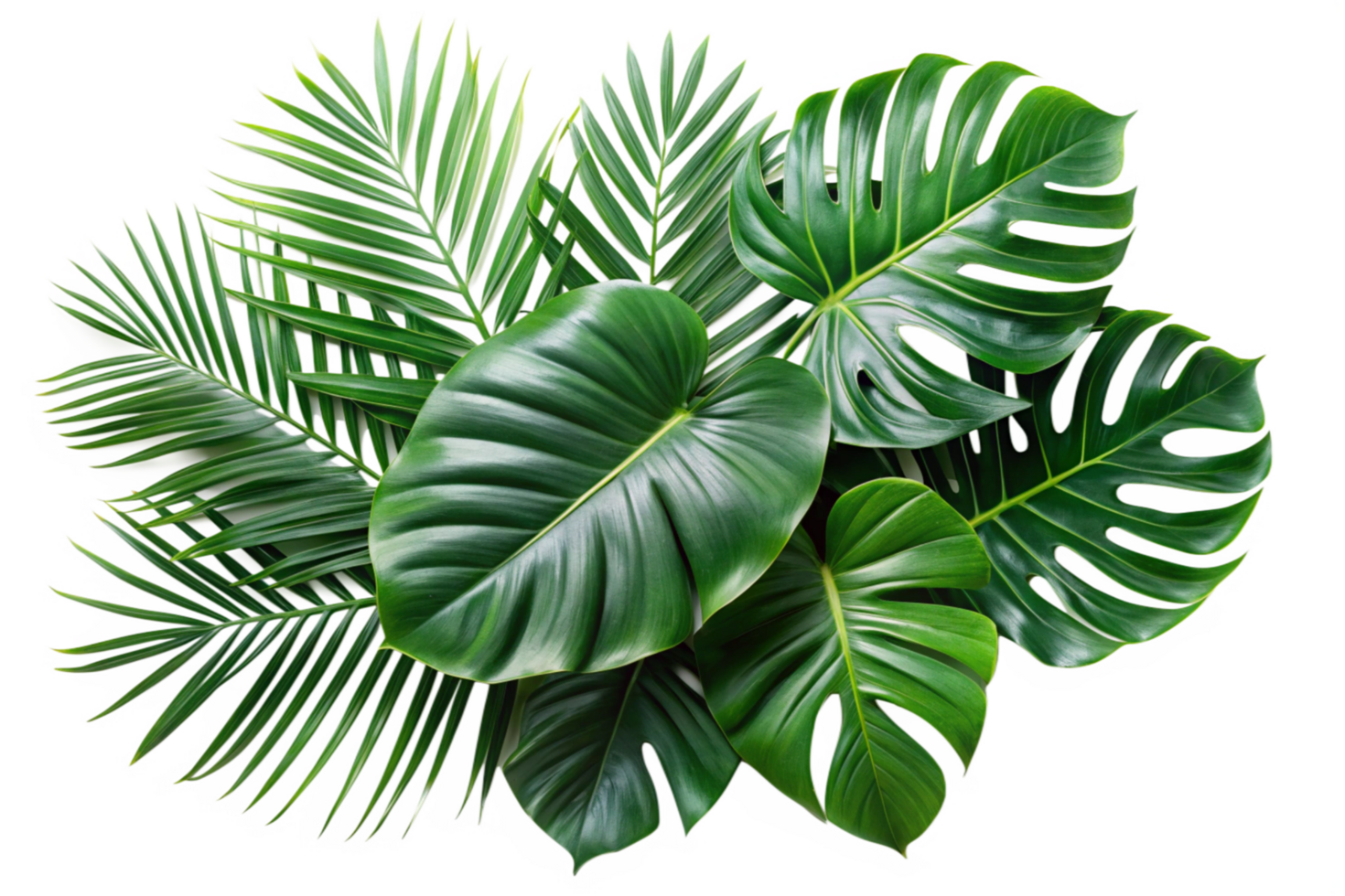 Vibrant Green Tropical Leaves Collection Lush Foliage Paradise Nature Background png
