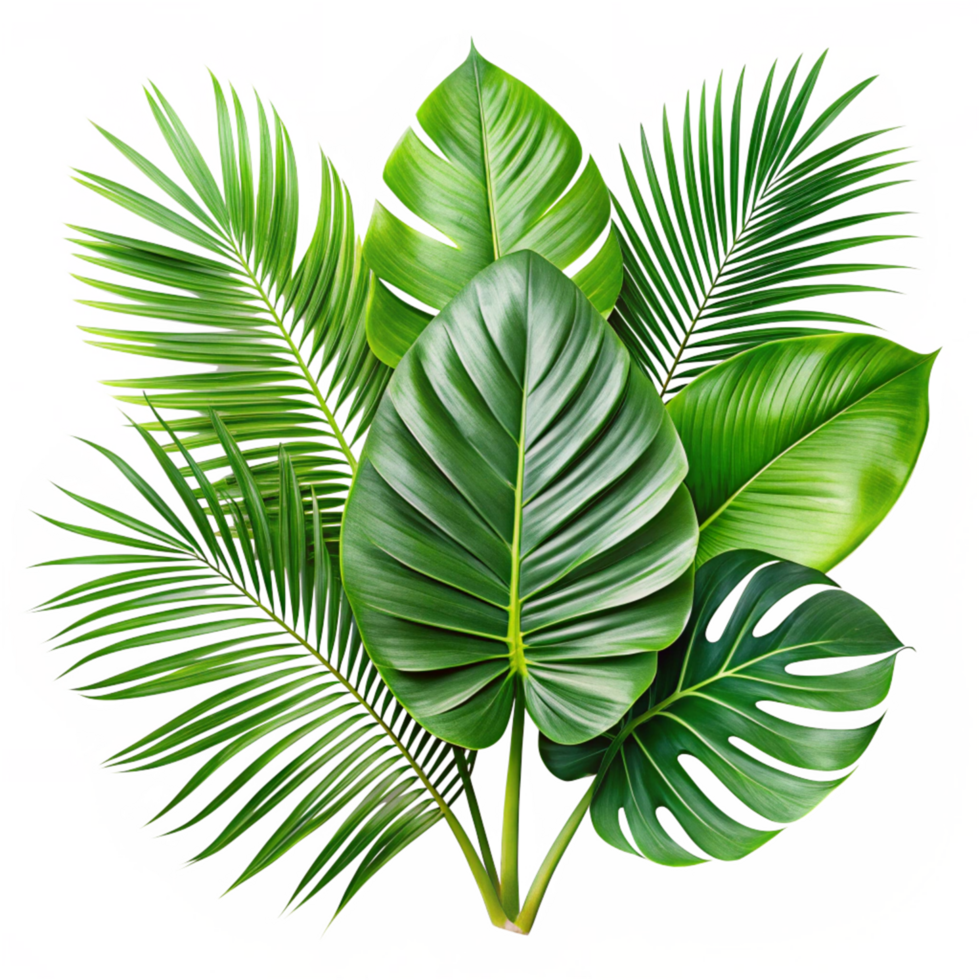 Vibrant Tropical Leaves Background Lush Green Foliage Monstera Palm Plants png