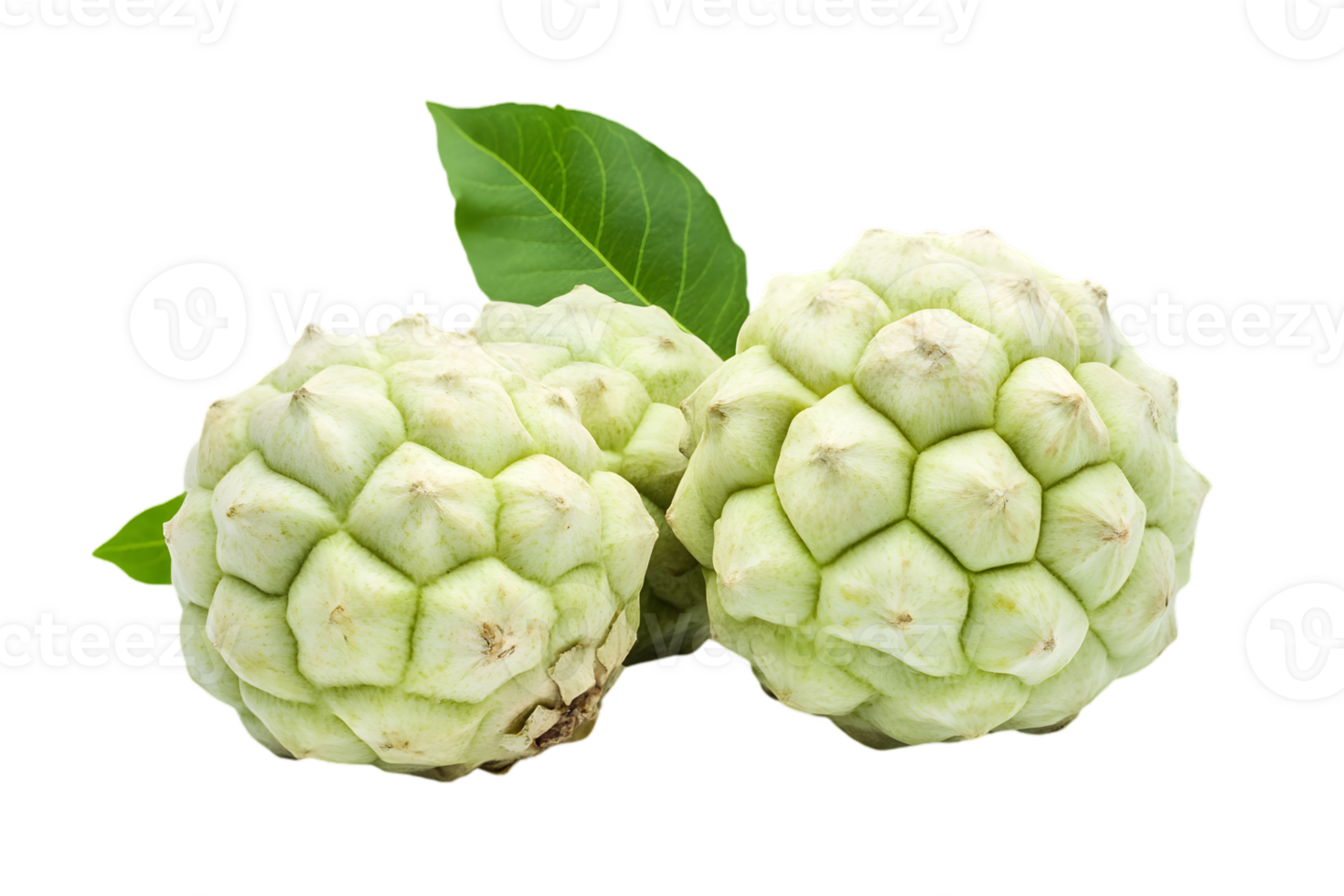 Three Custard Apples with Green Leaves Isolated on Transparent Background Showing Textured Skin Detail with Fresh and Organic Qualities png