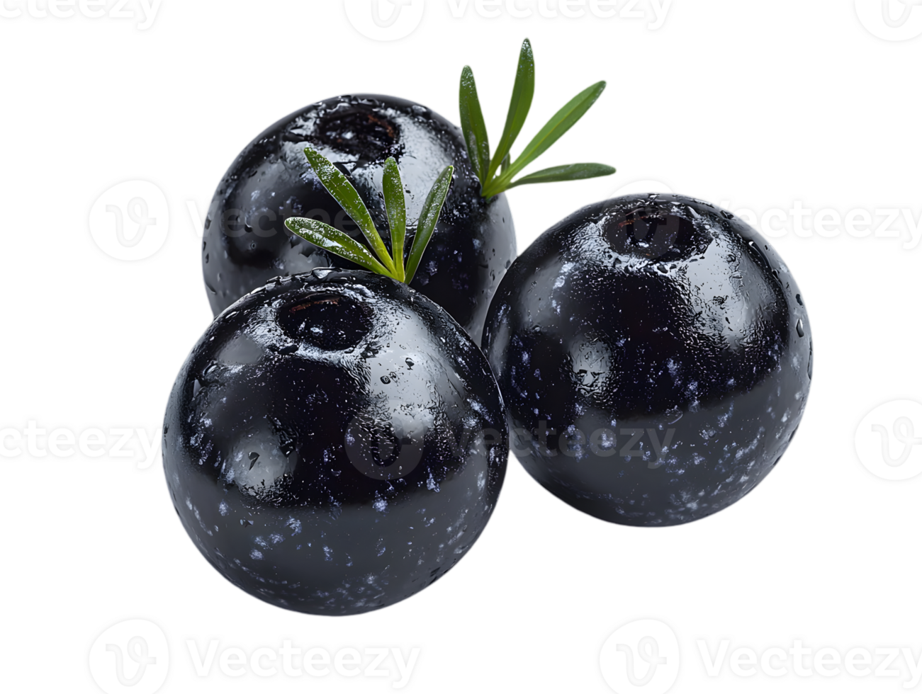 Three Glossy Black Olives with Sprigs on a Transparent Background Isolated png