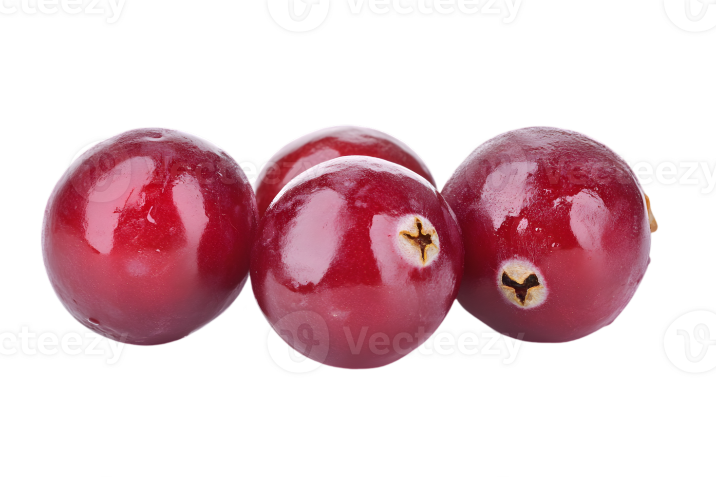 Studio Shot of Four Red Cranberries on a Transparent Background Close Up Still Life of Vibrant Berries with Natural Antioxidants png