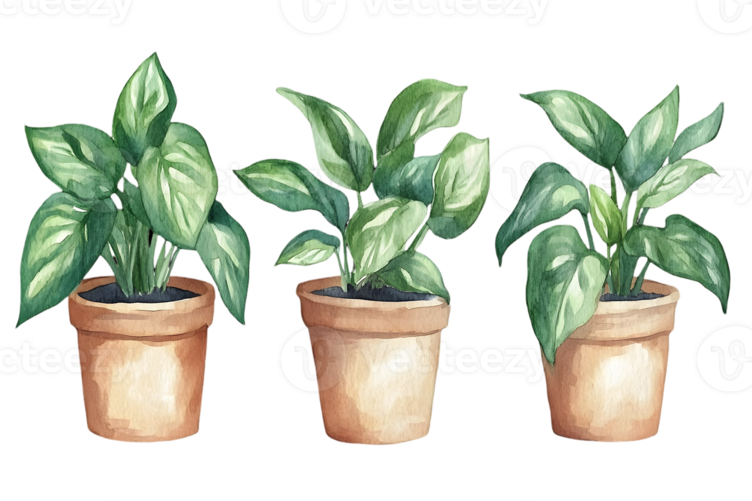 Three Watercolor Potted Green Plants with Varied Leaf Patterns on a Transparent Background png