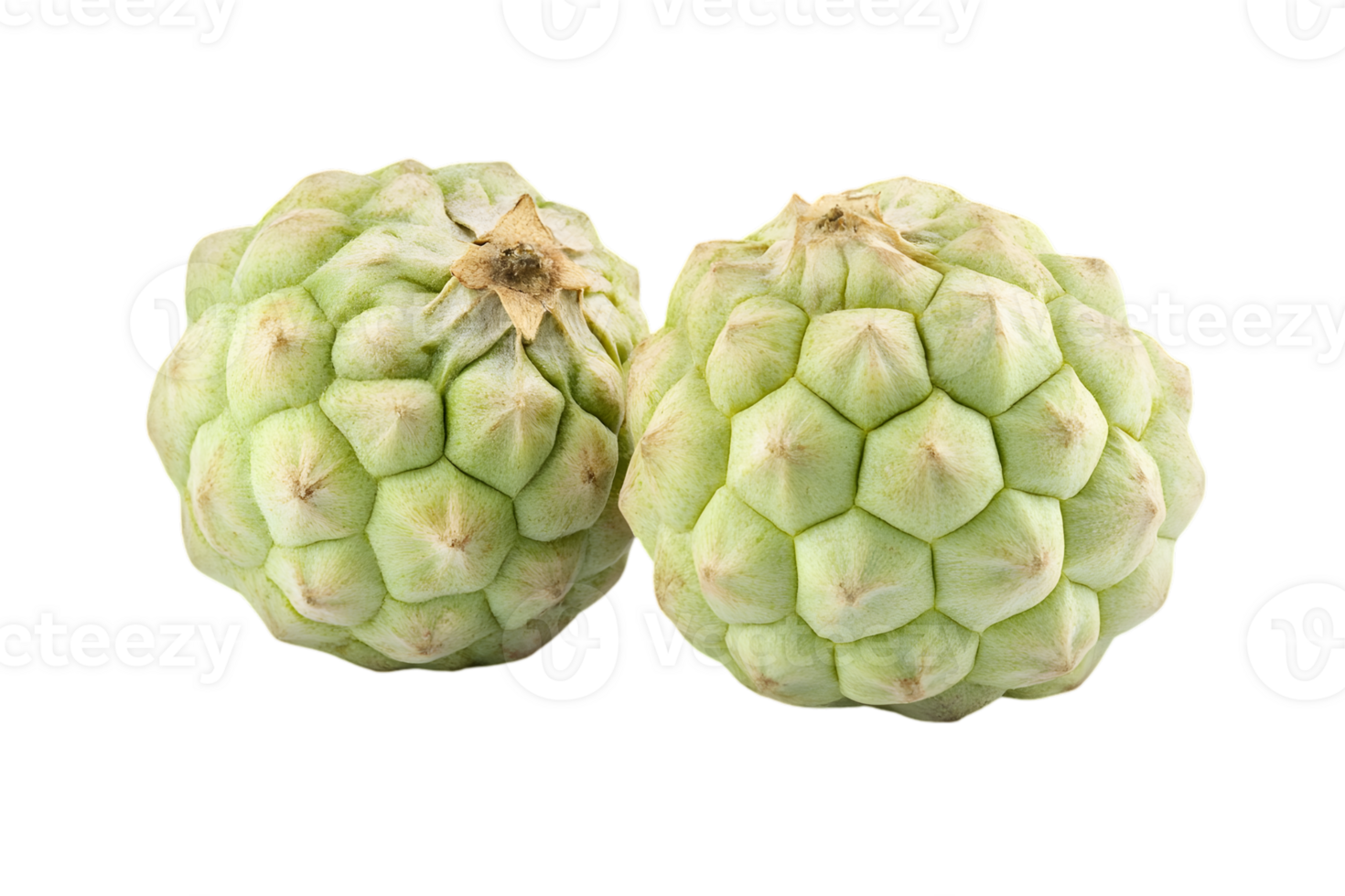 Two Light Green Custard Apples on Transparent Background in Studio Shot png