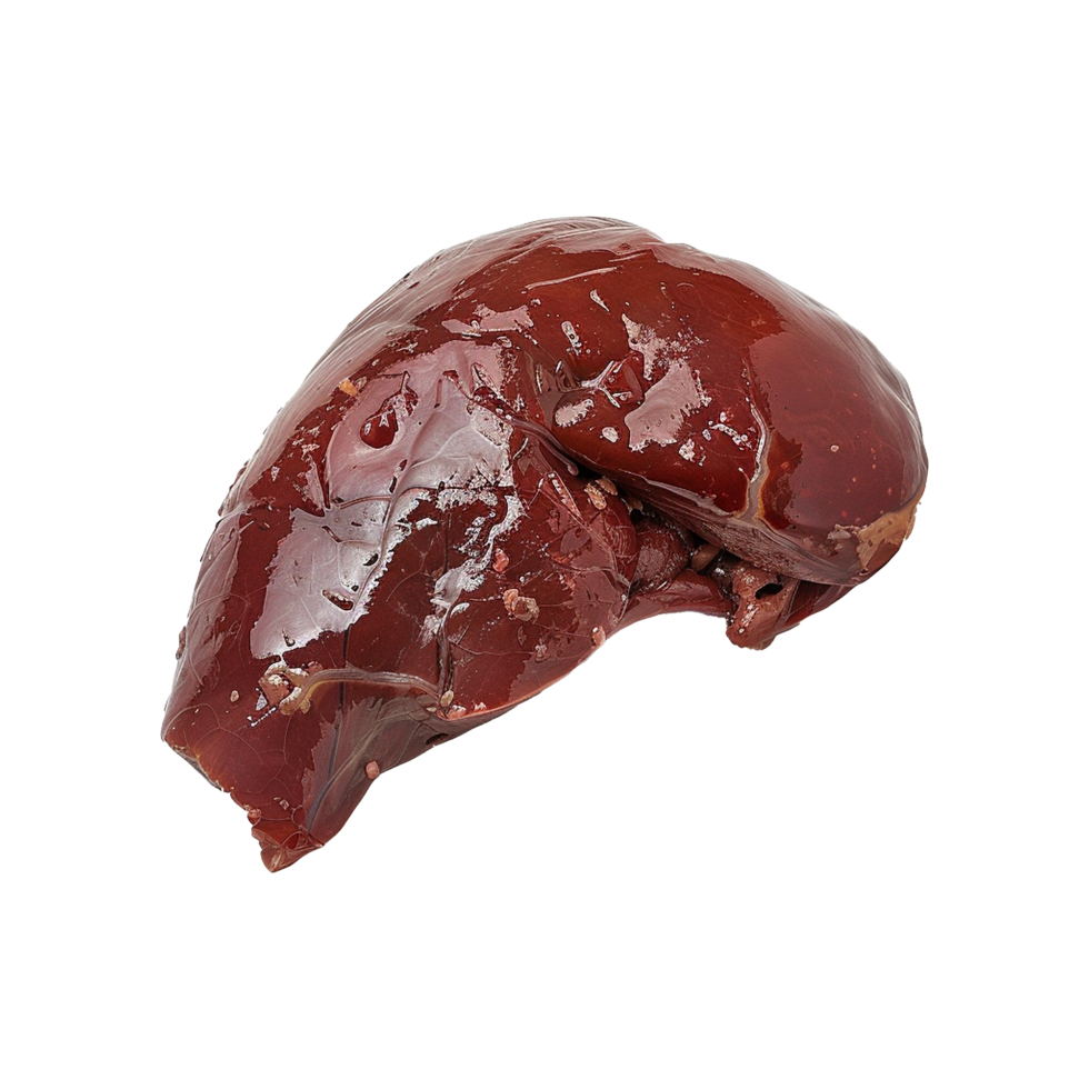 Closeup view of a raw beef liver organ meat showing texture and color png
